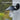 HBBU-0109_IT_Lifestyle_01